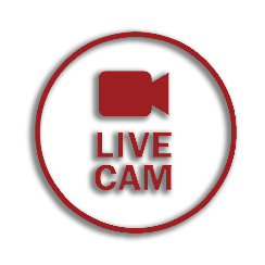 Imatge webcam a temps real (NOU!! 23/3/2025)